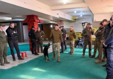 Полицейские развивают навыки поиска наркотиков с помощью служебных собак