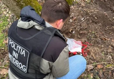 Продажа наркотиков через Telegram: ликвидирована преступная сеть